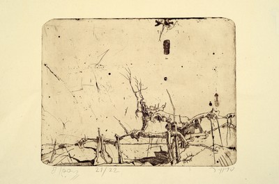 Image Horst Janssen, 1929-1995 Hamburg, etching, landscape with vines, Ed. 21/22, hand signed and numbered, unframed, sheet 38x51 cm